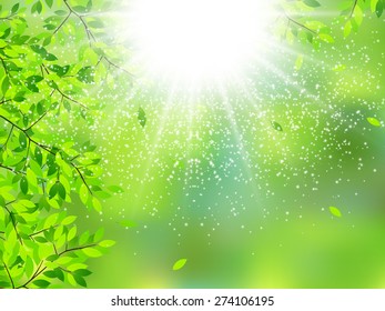 It leaves fresh green background