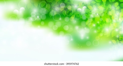 It leaves fresh green tree background