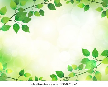 It leaves fresh green tree background