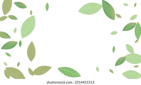  Leaves Fresh Vector White Background Branch. Realistic Leaf Plant. Green Foliage Abstract Wallpaper. Greens Organic,Green flying leaves wave,nature Day
