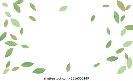  Rama de fondo blanco de Vector fresco de las hojas. Planta de hoja realista. Fondo de pantalla abstracto de follaje verde. Verde Orgánico, Hojas voladoras verdes, ola, naturaleza Día
