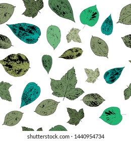 Leaves from the garden. Seamless pattern of green leaves on a white background.