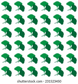 Leaves of ginkgo 