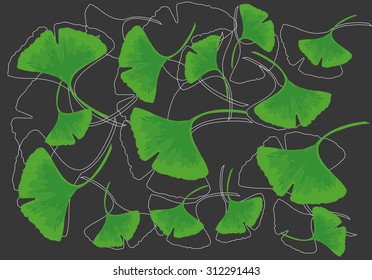 Leaves Of Ginkgo Bilboa Vector