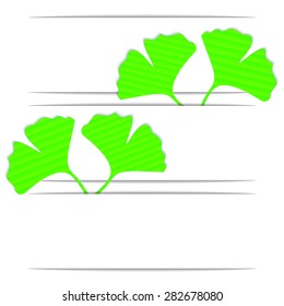 The leaves of ginkgo biloba on the curved white background , 3D paper, web design, vector, eps10