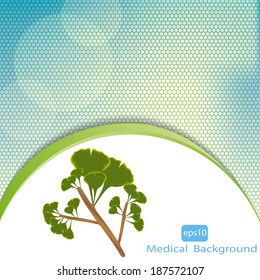 Leaves of ginkgo biloba. Vector 