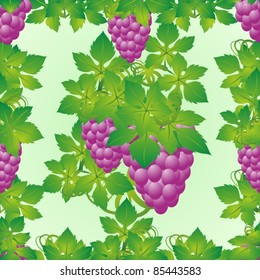 The leaves and grapes on a green background