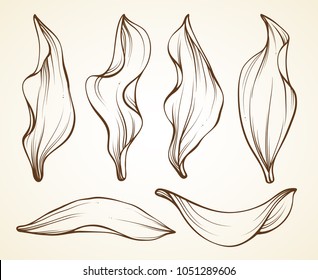 Leaves graphic linear illustration. Greenery vector set.