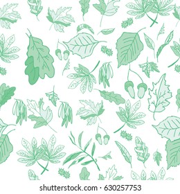 Leaves, grass, acorns seamless pattern on a white background. White and green abstract background. A hand drawing vegetative. Vector illustration leaves a path.