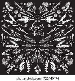 Leaves and grass drawn by hand on a black background in the style of lettering