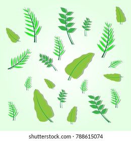 Leaves with green background