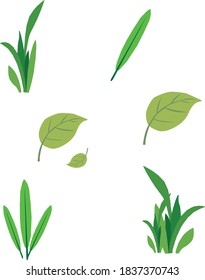 leaves green background leaf and tree set