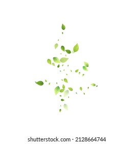Leaves Green Falling. Spring Flying Foliage. Chaotic Leaf On White Background. Ecology Design, Nature Elements. Spring Sale Vector Illustration. Greenery Environment Backdrop.