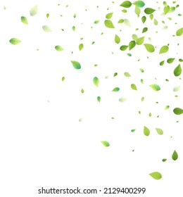 Leaves Green Falling. Spring Flying Foliage. Chaotic Leaf On White Background. Ecology Design, Nature Elements. Spring Sale Vector Illustration. Greenery Environment Backdrop.