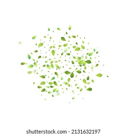 Leaves Green Falling. Spring Flying Foliage. Chaotic Leaf On White Background. Ecology Design, Nature Elements. Spring Sale Vector Illustration. Greenery Environment Backdrop.