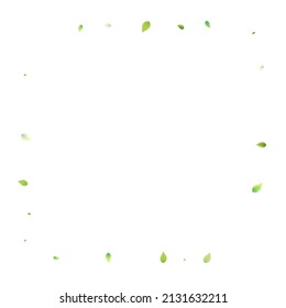 Leaves Green Falling. Spring Flying Foliage. Chaotic Leaf On White Background. Ecology Design, Nature Elements. Spring Sale Vector Illustration. Greenery Environment Backdrop.