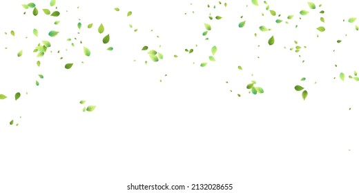 Leaves Green Falling. Spring Flying Foliage. Chaotic Leaf On White Background. Ecology Design, Nature Elements. Spring Sale Vector Illustration. Greenery Environment Backdrop.