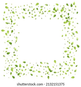Leaves Green Falling. Spring Flying Foliage. Chaotic Leaf On White Background. Ecology Design, Nature Elements. Spring Sale Vector Illustration. Greenery Environment Backdrop.