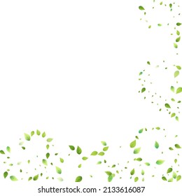 Leaves Green Falling. Spring Flying Foliage. Chaotic Leaf On White Background. Ecology Design, Nature Elements. Spring Sale Vector Illustration. Greenery Environment Backdrop.