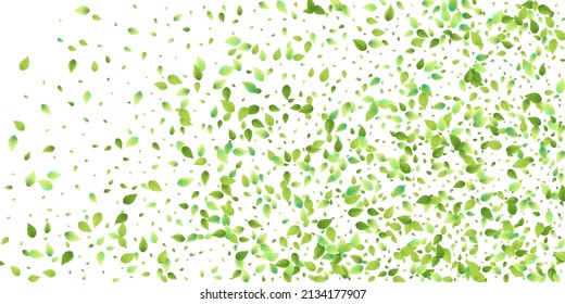 Leaves Green Falling. Spring Flying Foliage. Chaotic Leaf On White Background. Ecology Design, Nature Elements. Spring Sale Vector Illustration. Greenery Environment Backdrop.