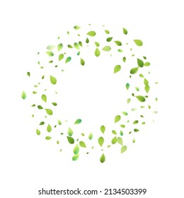 Leaves Green Falling. Spring Flying Foliage. Chaotic Leaf On White Background. Ecology Design, Nature Elements. Spring Sale Vector Illustration. Greenery Environment Backdrop.