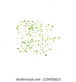 Leaves Green Falling. Spring Flying Foliage. Chaotic Leaf On White Background. Ecology Design, Nature Elements. Spring Sale Vector Illustration. Greenery Environment Backdrop.