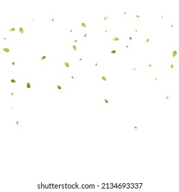 Leaves Green Falling. Spring Flying Foliage. Chaotic Leaf On White Background. Ecology Design, Nature Elements. Spring Sale Vector Illustration. Greenery Environment Backdrop.
