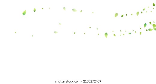 Leaves Green Falling. Spring Flying Foliage. Chaotic Leaf On White Background. Ecology Design, Nature Elements. Spring Sale Vector Illustration. Greenery Environment Backdrop.