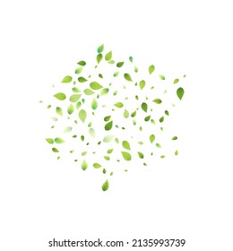 Leaves Green Falling. Spring Flying Foliage. Chaotic Leaf On White Background. Ecology Design, Nature Elements. Spring Sale Vector Illustration. Greenery Environment Backdrop.