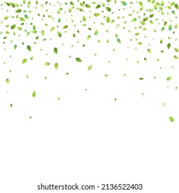 Leaves Green Falling. Spring Flying Foliage. Chaotic Leaf On White Background. Ecology Design, Nature Elements. Spring Sale Vector Illustration. Greenery Environment Backdrop.