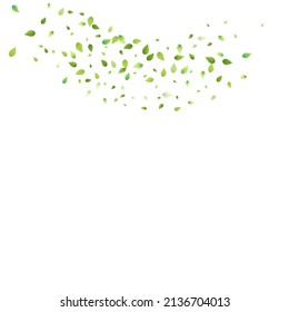 Leaves Green Falling. Spring Flying Foliage. Chaotic Leaf On White Background. Ecology Design, Nature Elements. Spring Sale Vector Illustration. Greenery Environment Backdrop.
