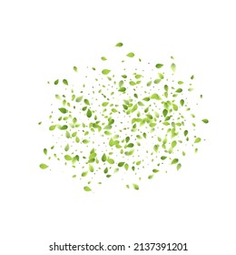 Leaves Green Falling. Spring Flying Foliage. Chaotic Leaf On White Background. Ecology Design, Nature Elements. Spring Sale Vector Illustration. Greenery Environment Backdrop.
