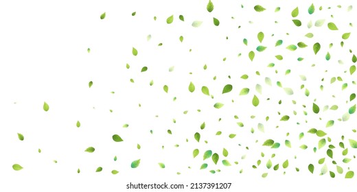 Leaves Green Falling. Spring Flying Foliage. Chaotic Leaf On White Background. Ecology Design, Nature Elements. Spring Sale Vector Illustration. Greenery Environment Backdrop.