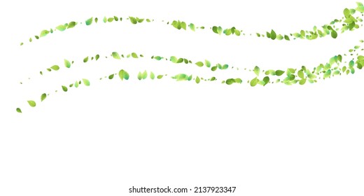 Deja La Caída Verde. Foliage volador de primavera. Hoja Caótica Sobre Fondo Blanco. Diseño ecológico, elementos naturales. Ilustración de vectores de venta de primavera. Entorno verde