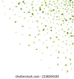 Leaves Green Falling. Spring Flying Foliage. Chaotic Leaf On White Background. Ecology Design, Nature Elements. Spring Sale Vector Illustration. Greenery Environment Backdrop.