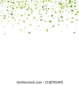 Leaves Green Falling. Spring Flying Foliage. Chaotic Leaf On White Background. Ecology Design, Nature Elements. Spring Sale Vector Illustration. Greenery Environment Backdrop.