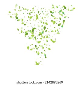 Bleibt grün fallen. Frühlingsfliegendes Blattwerk. Chaotisches Leaf auf weißem Hintergrund. Ökologiedesign, Naturelemente. Frühlingsverkäufer Vektorgrafik. Hintergrund der grünen Umgebung.