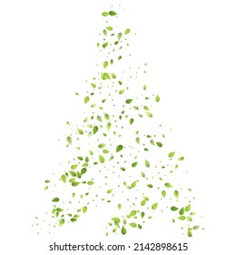 Leaves Green Falling. Spring Flying Foliage. Chaotic Leaf On White Background. Ecology Design, Nature Elements. Spring Sale Vector Illustration. Greenery Environment Backdrop.