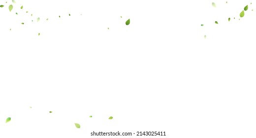 Leaves Green Falling. Spring Flying Foliage. Chaotic Leaf On White Background. Ecology Design, Nature Elements. Spring Sale Vector Illustration. Greenery Environment Backdrop.