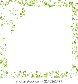 Leaves Green Falling. Spring Flying Foliage. Chaotic Leaf On White Background. Ecology Design, Nature Elements. Spring Sale Vector Illustration. Greenery Environment Backdrop.