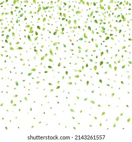 Leaves Green Falling. Spring Flying Foliage. Chaotic Leaf On White Background. Ecology Design, Nature Elements. Spring Sale Vector Illustration. Greenery Environment Backdrop.