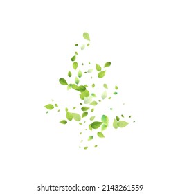 Leaves Green Falling. Spring Flying Foliage. Chaotic Leaf On White Background. Ecology Design, Nature Elements. Spring Sale Vector Illustration. Greenery Environment Backdrop.