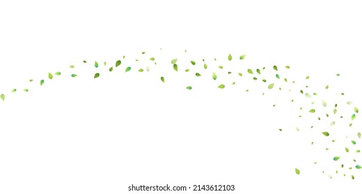 Leaves Green Falling. Spring Flying Foliage. Chaotic Leaf On White Background. Ecology Design, Nature Elements. Spring Sale Vector Illustration. Greenery Environment Backdrop.