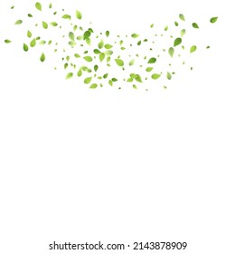Leaves Green Falling. Spring Flying Foliage. Chaotic Leaf On White Background. Ecology Design, Nature Elements. Spring Sale Vector Illustration. Greenery Environment Backdrop.