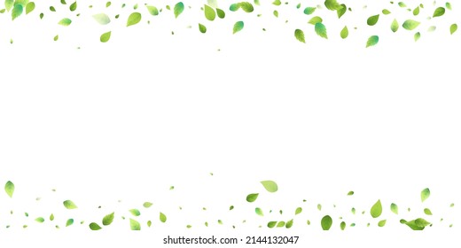 Leaves Green Falling. Spring Flying Foliage. Chaotic Leaf On White Background. Ecology Design, Nature Elements. Spring Sale Vector Illustration. Greenery Environment Backdrop.