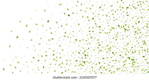 Leaves Green Falling. Spring Flying Foliage. Chaotic Leaf On White Background. Ecology Design, Nature Elements. Spring Sale Vector Illustration. Greenery Environment Backdrop.