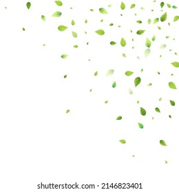Leaves Green Falling. Spring Flying Foliage. Chaotic Leaf On White Background. Ecology Design, Nature Elements. Spring Sale Vector Illustration. Greenery Environment Backdrop.