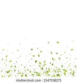 Leaves Green Falling. Spring Flying Foliage. Chaotic Leaf On White Background. Ecology Design, Nature Elements. Spring Sale Vector Illustration. Greenery Environment Backdrop.