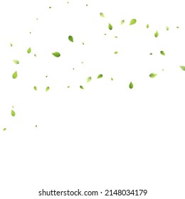 Leaves Green Falling. Spring Flying Foliage. Chaotic Leaf On White Background. Ecology Design, Nature Elements. Spring Sale Vector Illustration. Greenery Environment Backdrop.