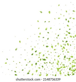 Leaves Green Falling. Spring Flying Foliage. Chaotic Leaf On White Background. Ecology Design, Nature Elements. Spring Sale Vector Illustration. Greenery Environment Backdrop.